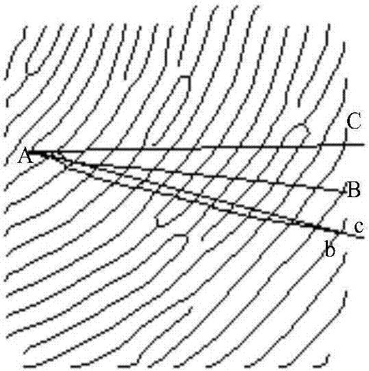 Fingerprint recognition method based on multiple reference nodes