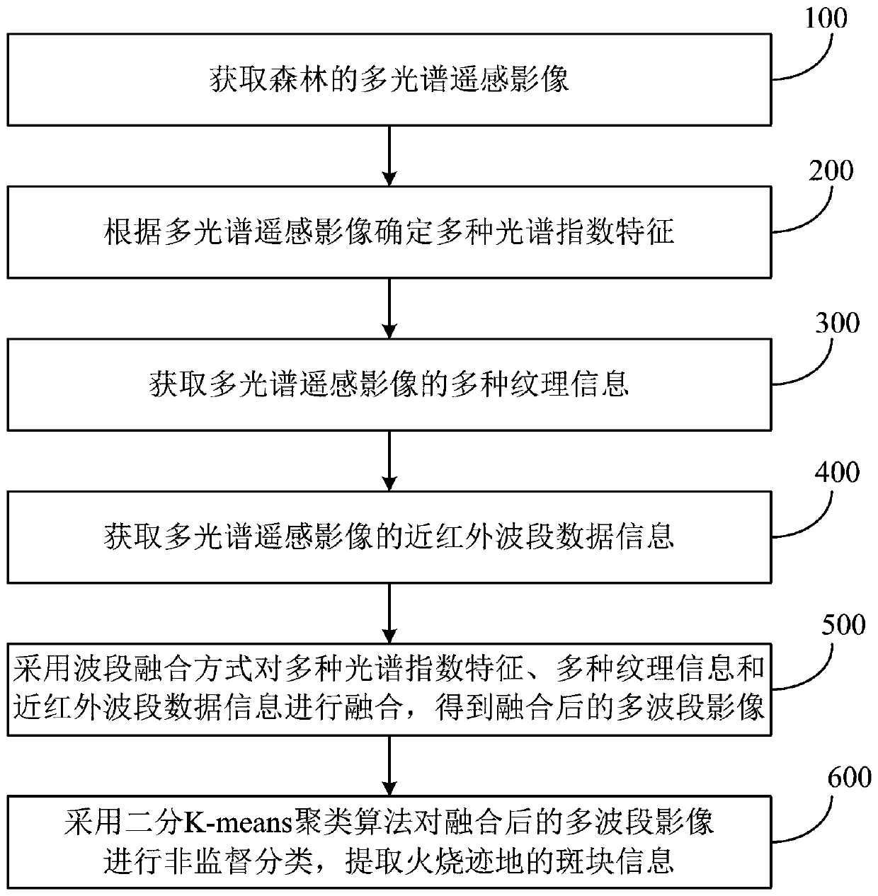 Forest fire burned area extraction method and system