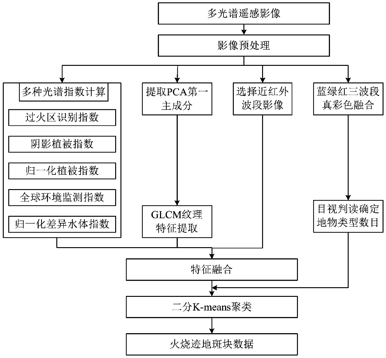 Forest fire burned area extraction method and system