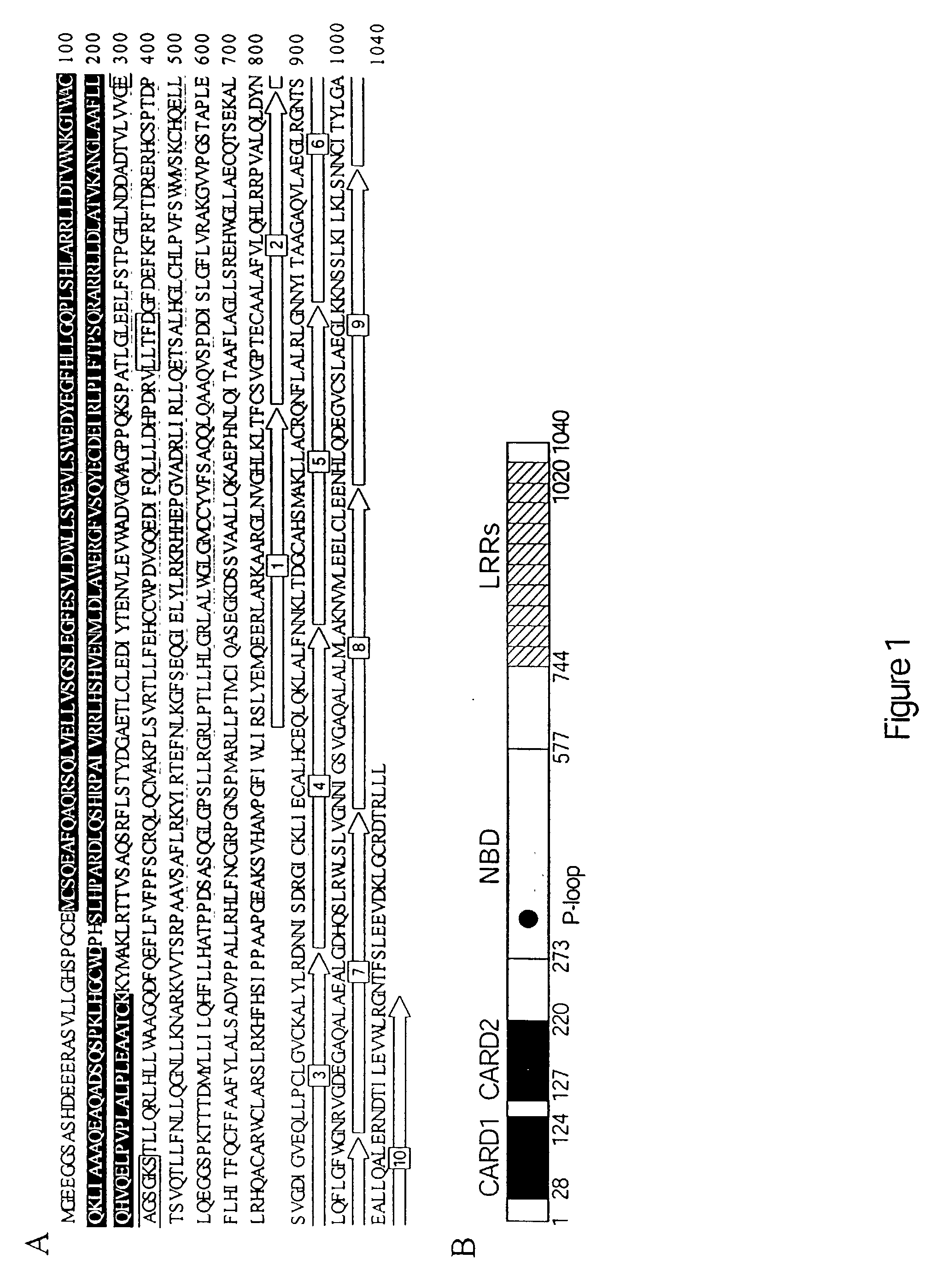 Modulators on Nod2 signaling