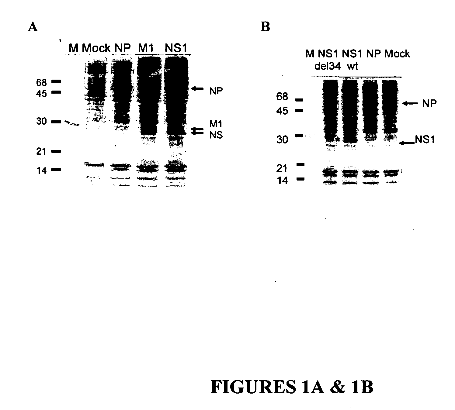 Influenza vaccine compositions and methods of use thereof