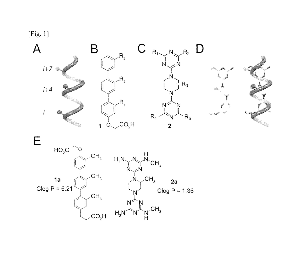 Alpha-helix analog having triazine-piperazine backbone and method for preparing same