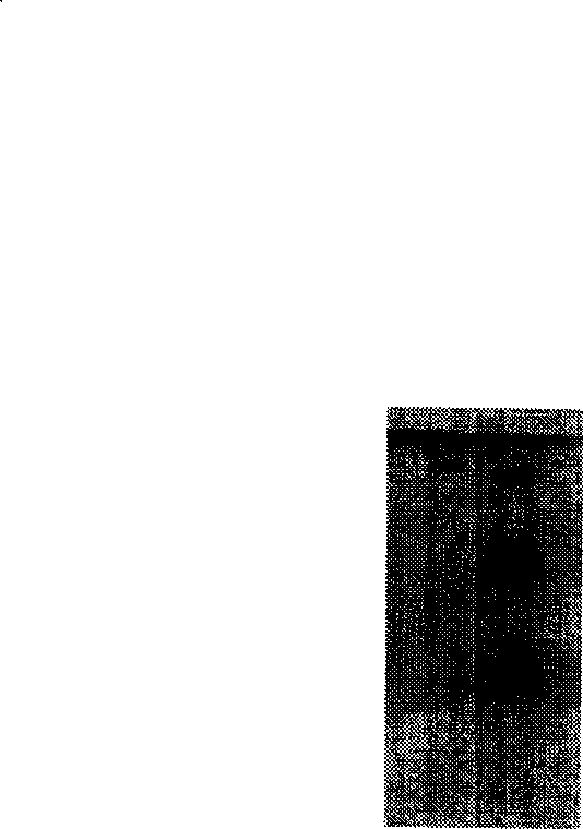 Methods for sulphation modification of 20(S)- ginsenoside Rh2, and separation and identification of sodium sulfovinate produced thereby