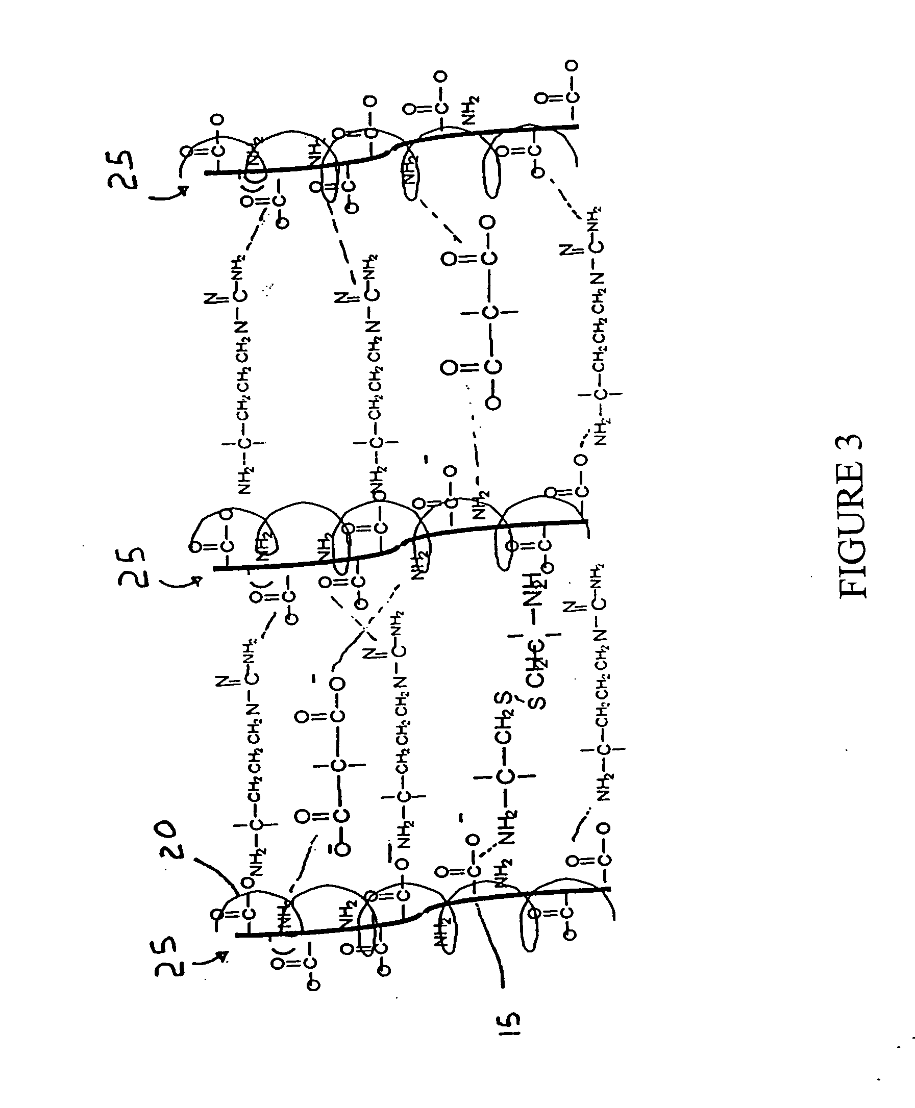 Methods and compositions for regenerating connective tissue