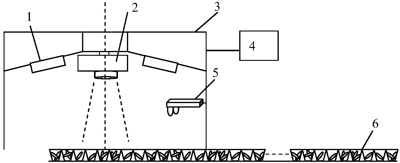 Machine vision-based super hybrid rice bunch seeding quantity detection method and device