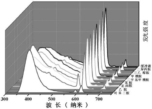 Europium Fluorescent Probe and Test Paper Based on Diphenyldicarboxylic Acid and Its Application in Detecting p-Phenylenediamine