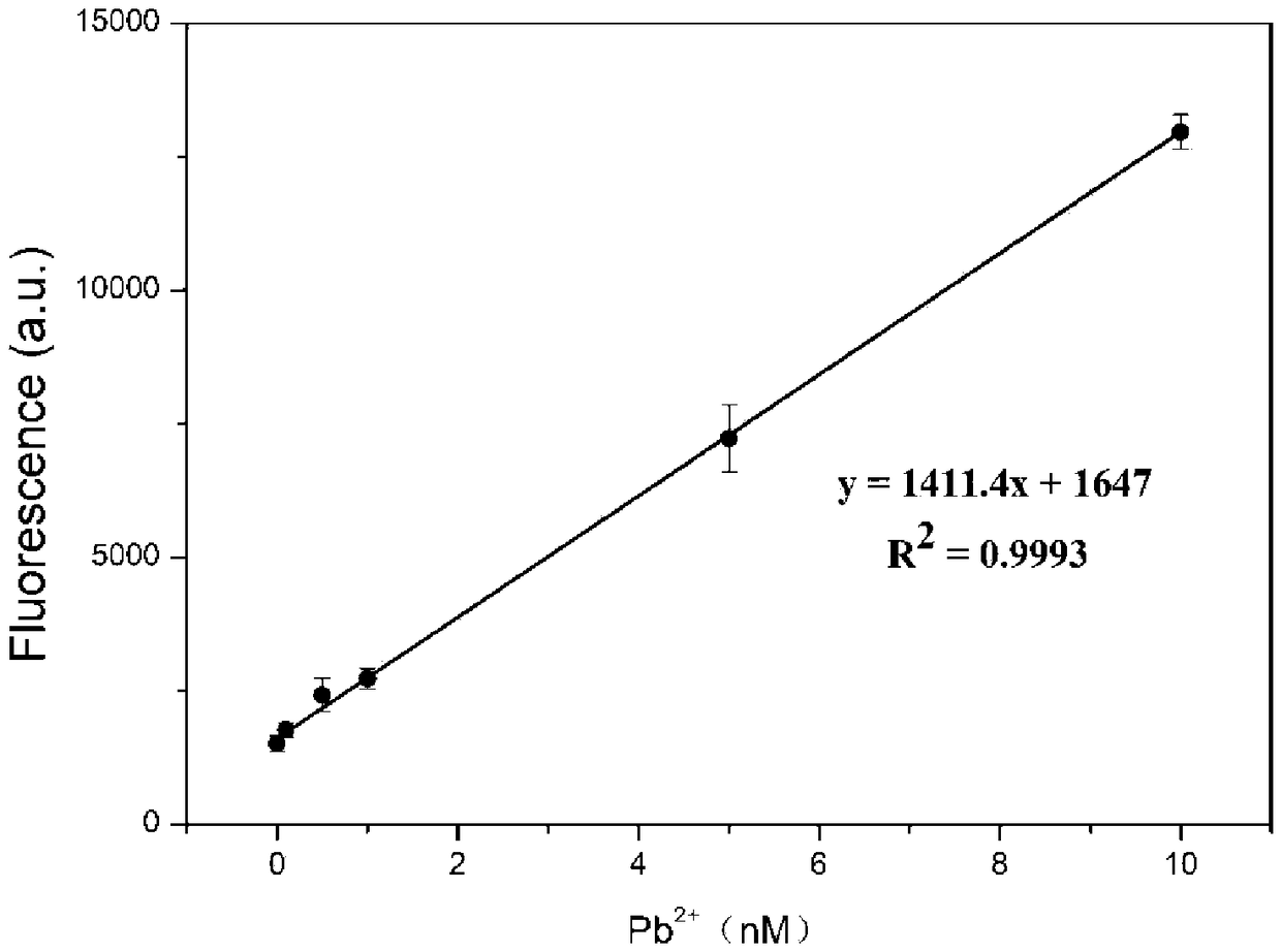 Functional nucleic acid fluorescence sensor with low background and stable temperature and application of sensor in lead ion detection