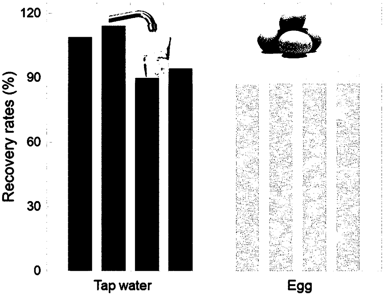 Functional nucleic acid fluorescence sensor with low background and stable temperature and application of sensor in lead ion detection