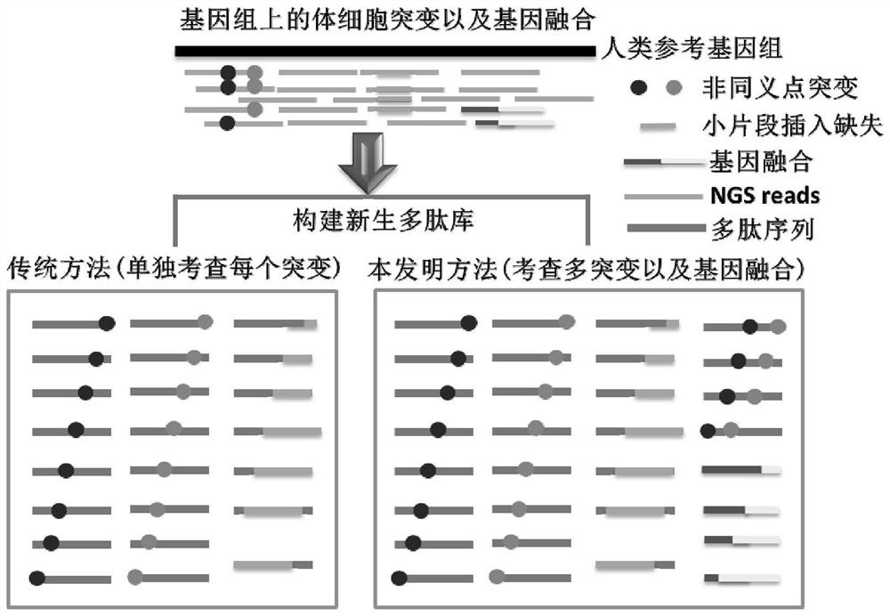 Method, device and storage medium for predicting tumor neoantigen