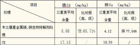 Soil heavy metal cadmium copper biodegradation agent and preparation method thereof