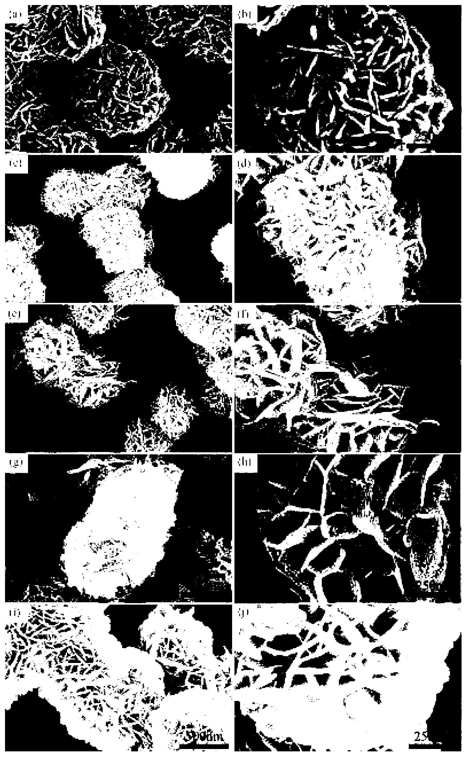 I-Doped BiOClBr photocatalyst and preparation method thereof