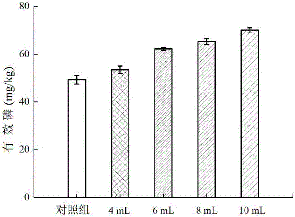 Compound alga oligosaccharide microbial fertilizer and preparation method thereof