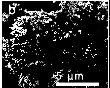 Pyrrole and 3,4-ethylenedioxythiophene copolymerized nanowire array and its preparation method