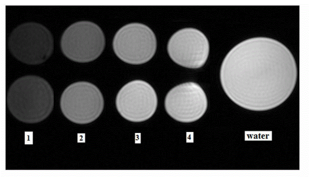 Superpara magnetism polymeric microsphere magnetic resonance imaging (MRI) contrast agent and preparation method thereof