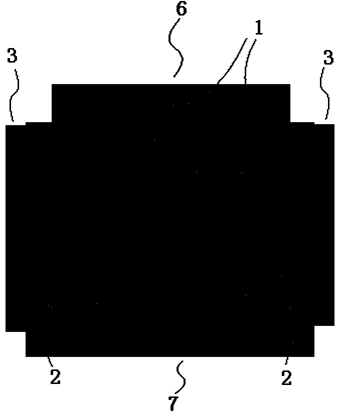 Skeleton correction protecting device