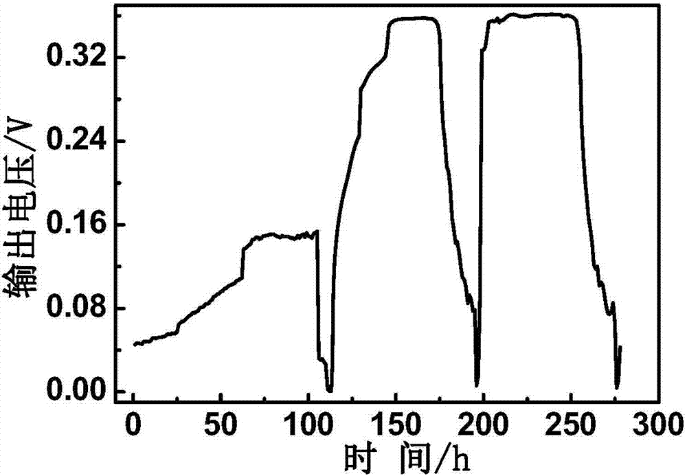 Rhodococcus pyridinovorans and application thereof in microbial fuel cell