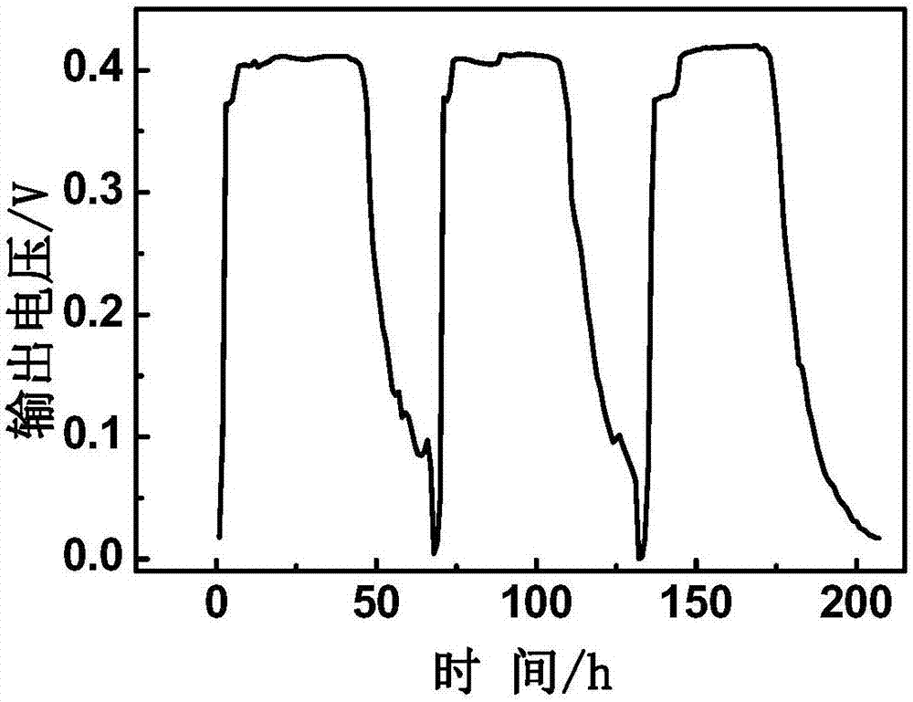 Rhodococcus pyridinovorans and application thereof in microbial fuel cell