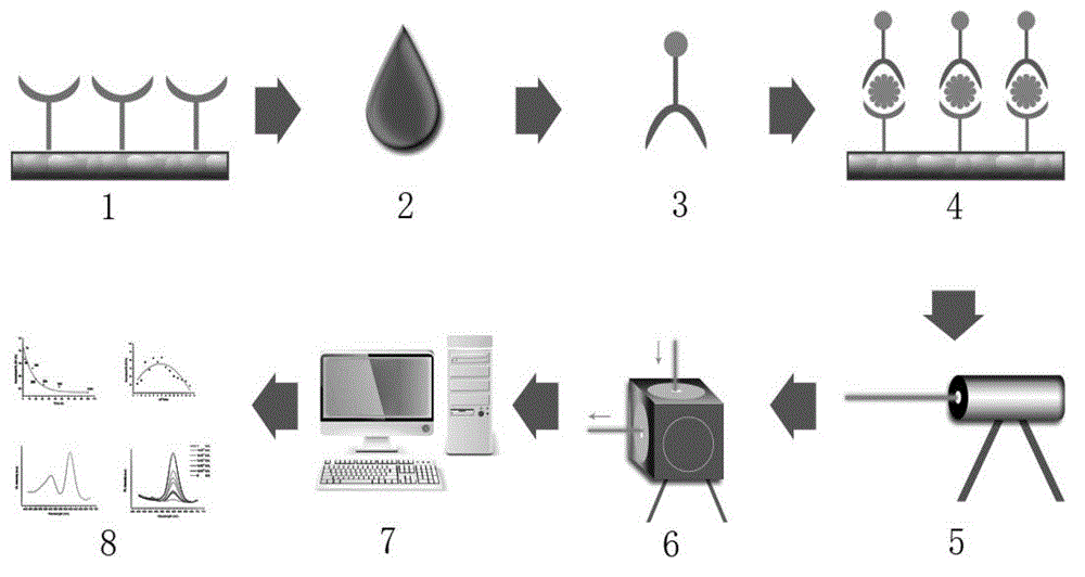 Multi-functional quick fluorescence immunoassay test method using functional substrate as media and using single color and multi-color quantum dots as mark