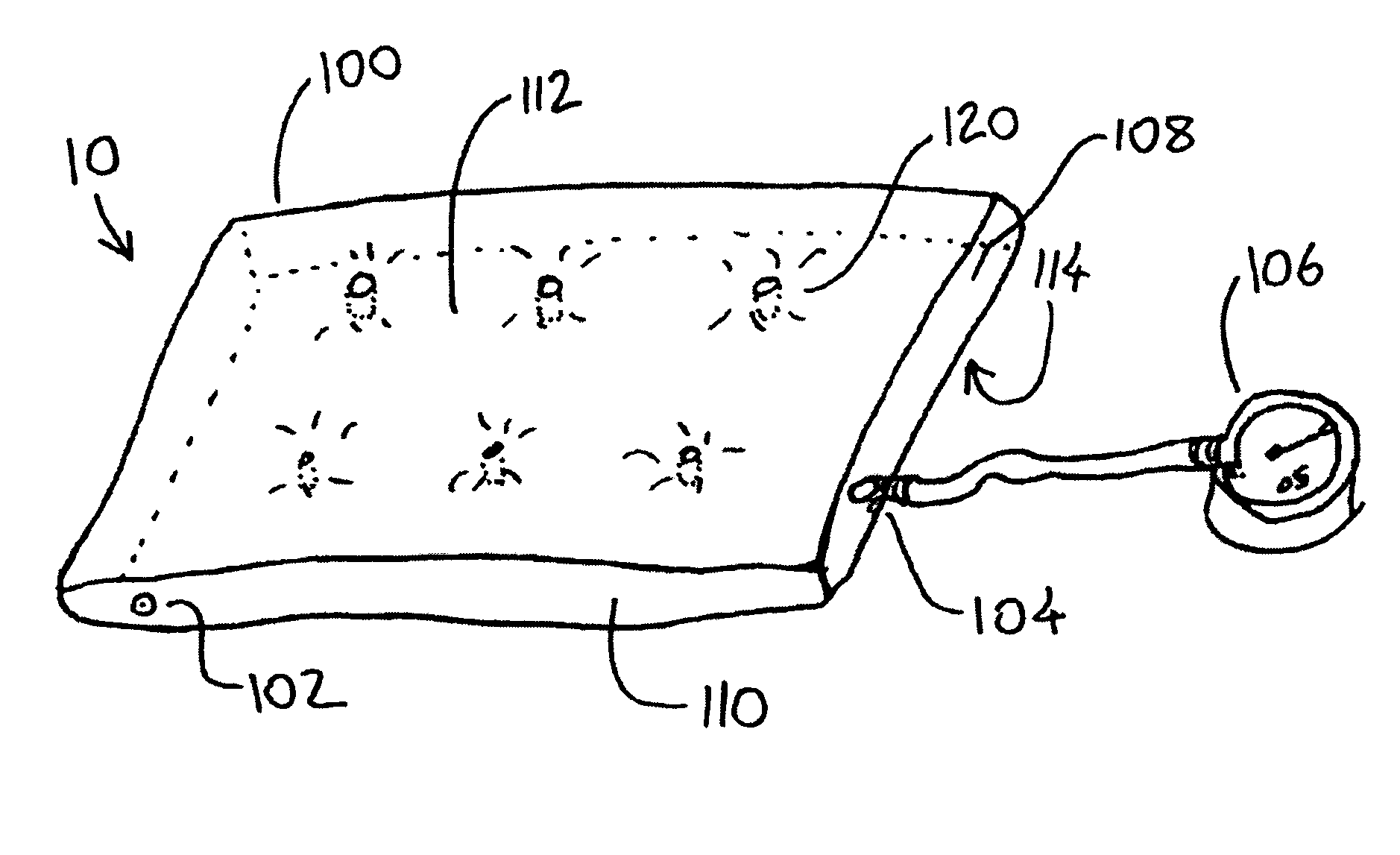 Portable scale