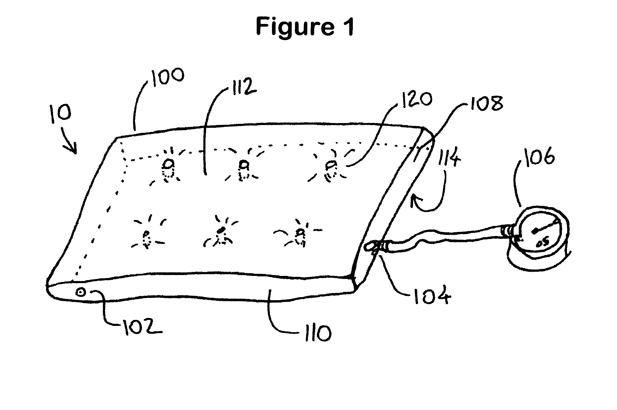 Portable scale