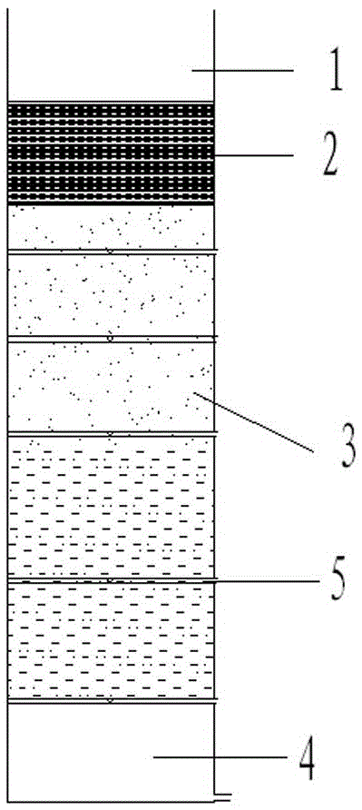 Double-layer filler bioretention device capable of efficient denitrification and dephosphorization