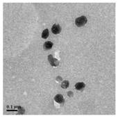 A formaldehyde detection film sticker and its application method