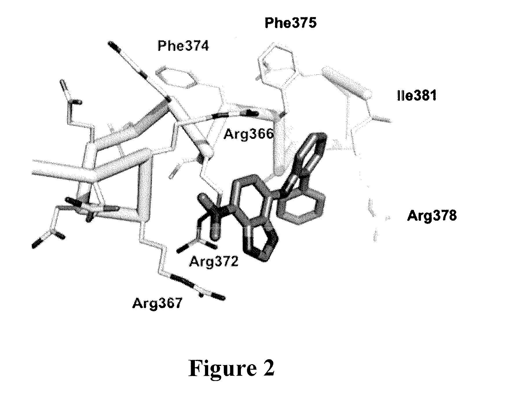 Potent analogues of the c-myc inhibitor 10074-g5 with improved cell permeability