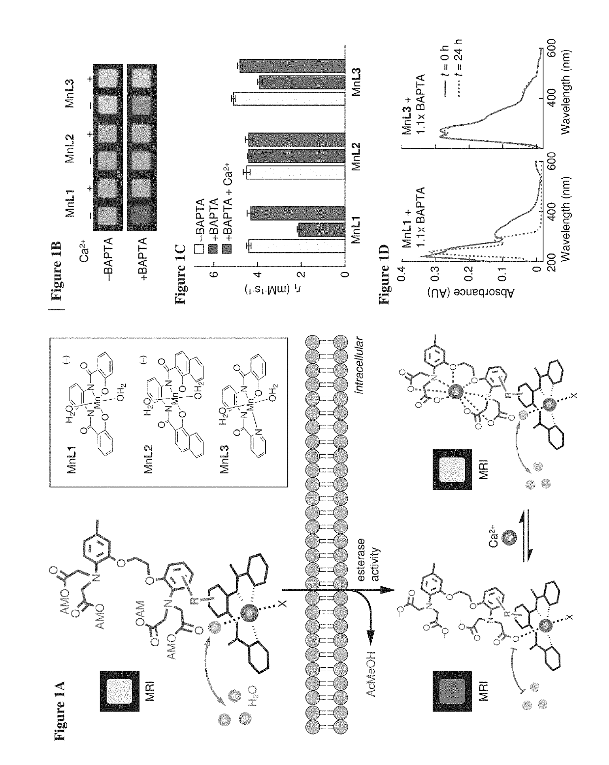 Cell-permeable imaging sensors and uses thereof