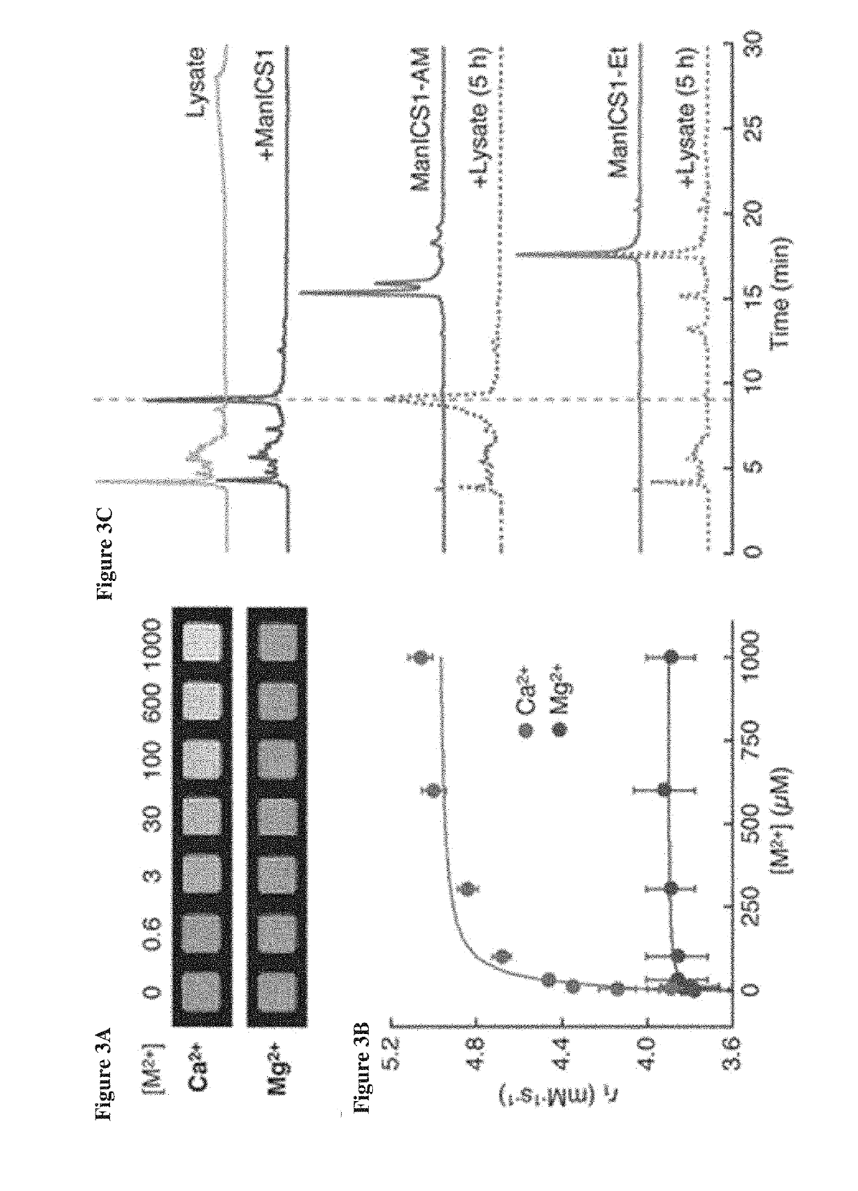 Cell-permeable imaging sensors and uses thereof