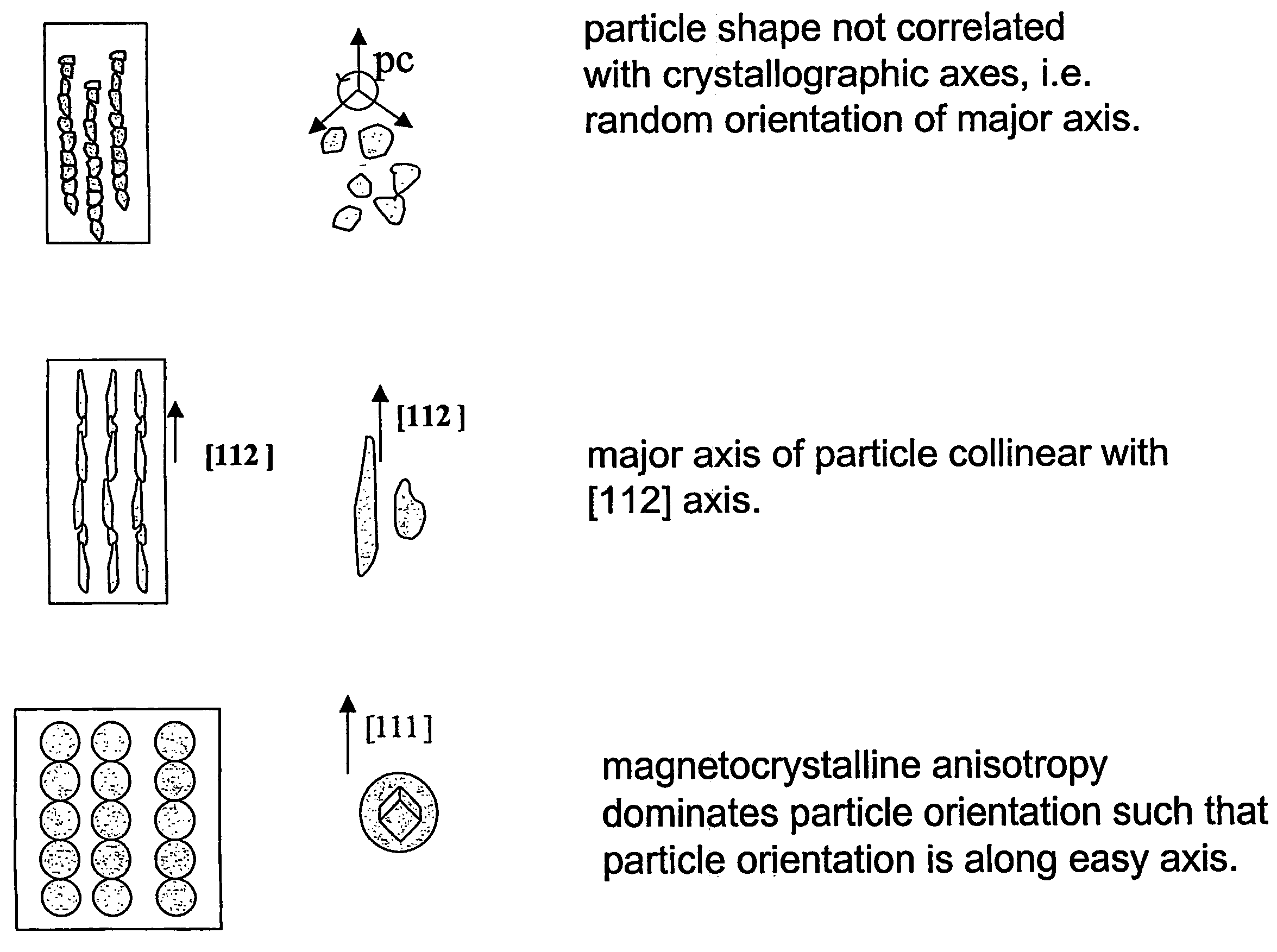 Directionally oriented particle composites