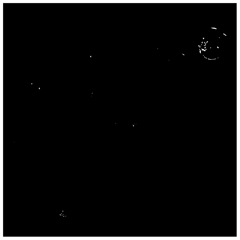 Method for efficiently converting gene module and line for rice leaf sheath protoplast