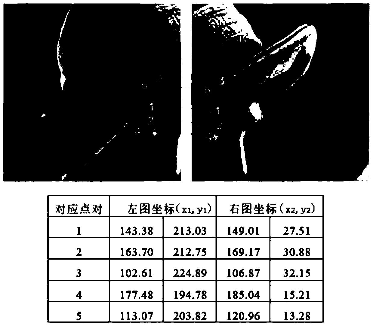 Bundling adjustment method for image splicing, storage medium and computing equipment