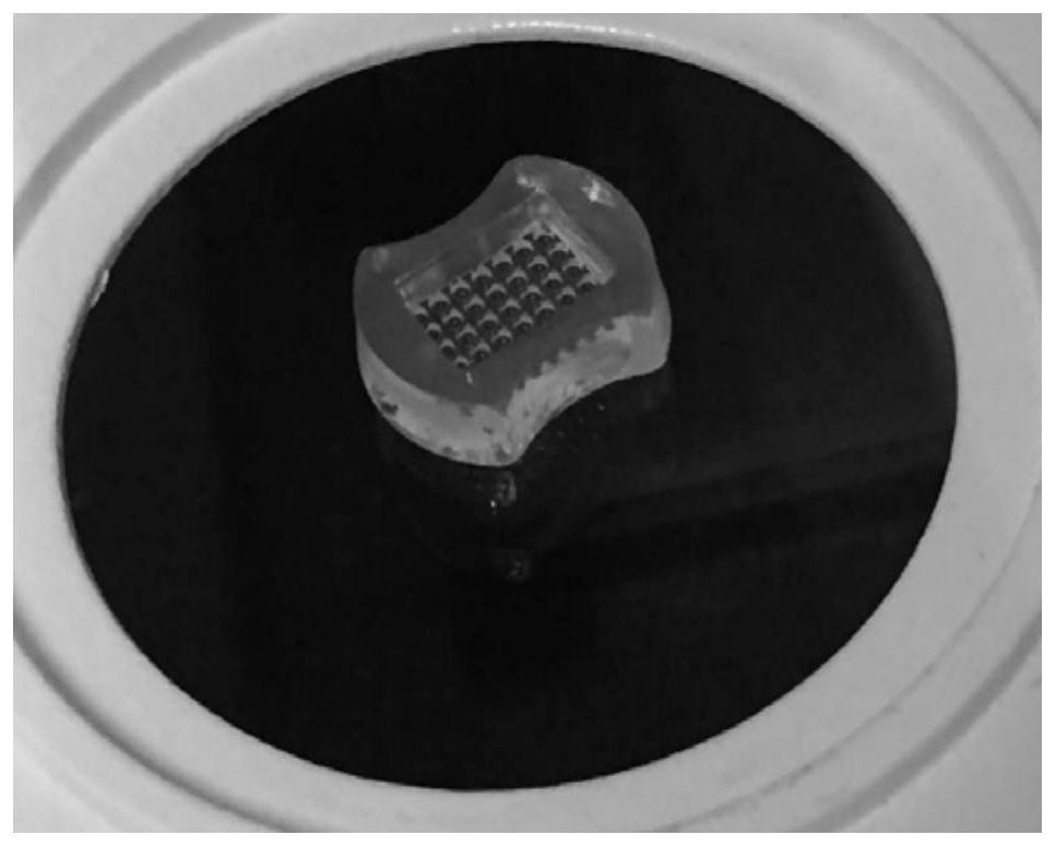 A Simple, Efficient and Mechanizable Induction Method for Differentiation of Human Pluripotent Stem Cells into Retinal Tissue