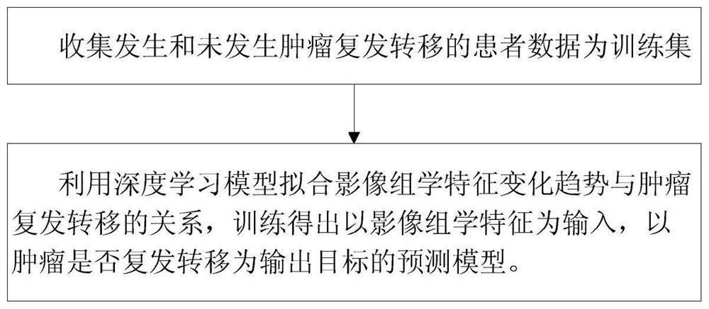 Method and system for determining cancer therapy effects via imaging omics features