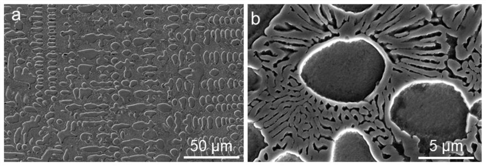 A kind of cocrninbx eutectic medium entropy alloy and preparation method thereof