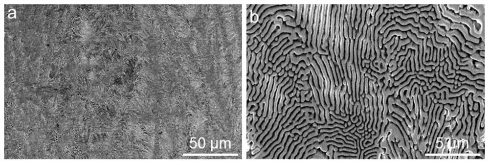 A kind of cocrninbx eutectic medium entropy alloy and preparation method thereof