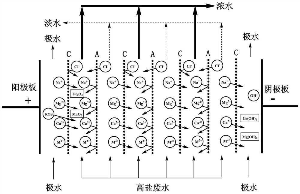 Multi-pole water circulation electrodialysis system and treatment process