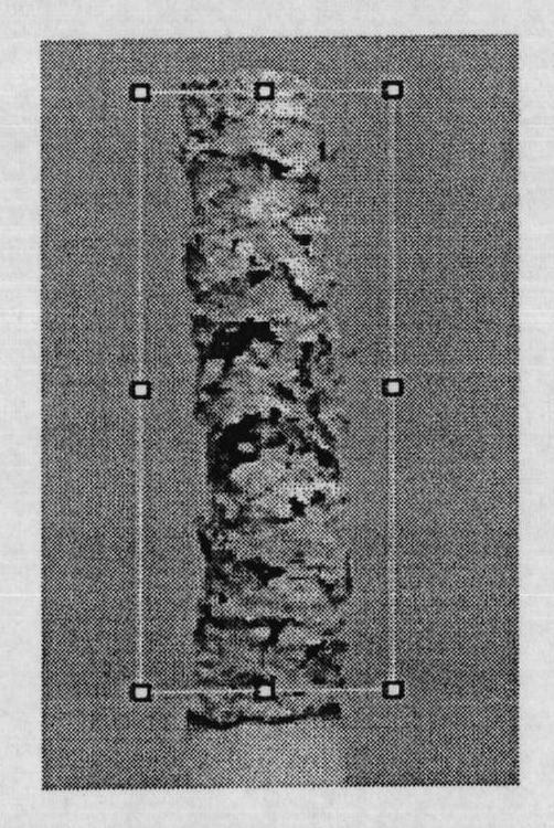 Method for measuring wrapped ash state after burning of cigarette