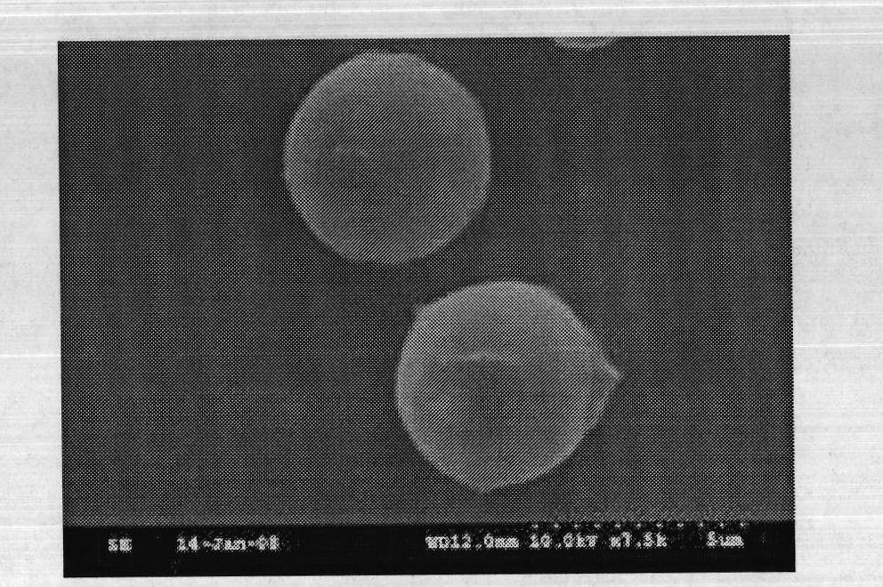 Single dose immunization against tetanus toxin cation dextran microspheres and preparation method thereof