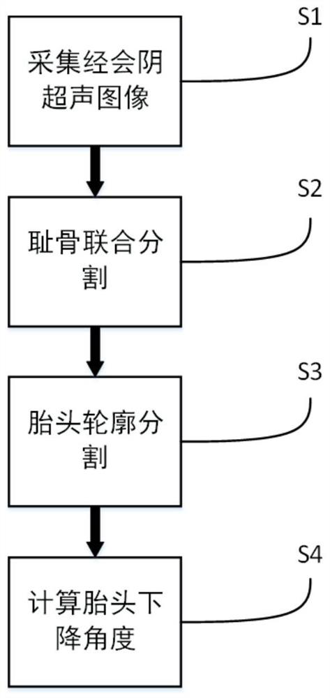 A method for automatic measurement of fetal head descent angle