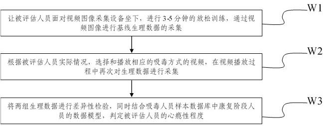 Non-contact drug addict monitoring method and system based on IPPG