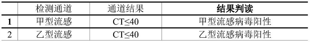 Nucleic acid detection kit for influenza A virus and influenza B virus and use method of nucleic acid detection kit