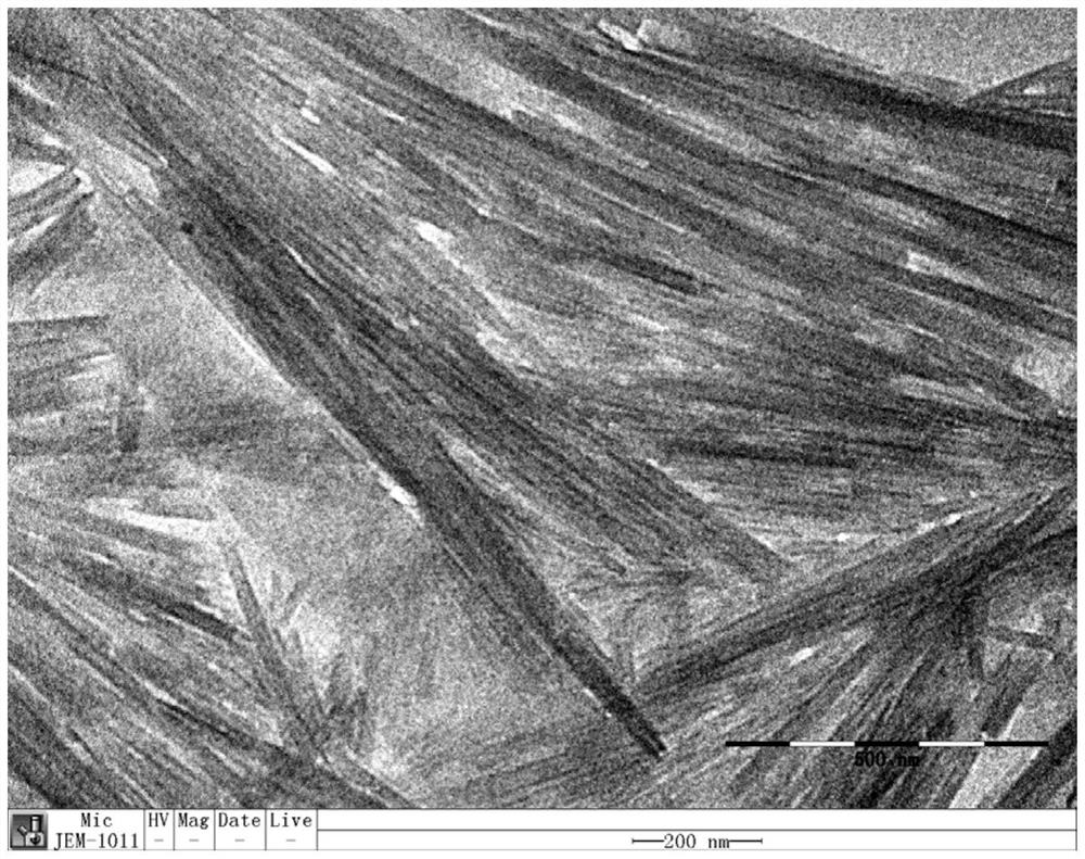 Tubular ozone advanced oxidation catalyst