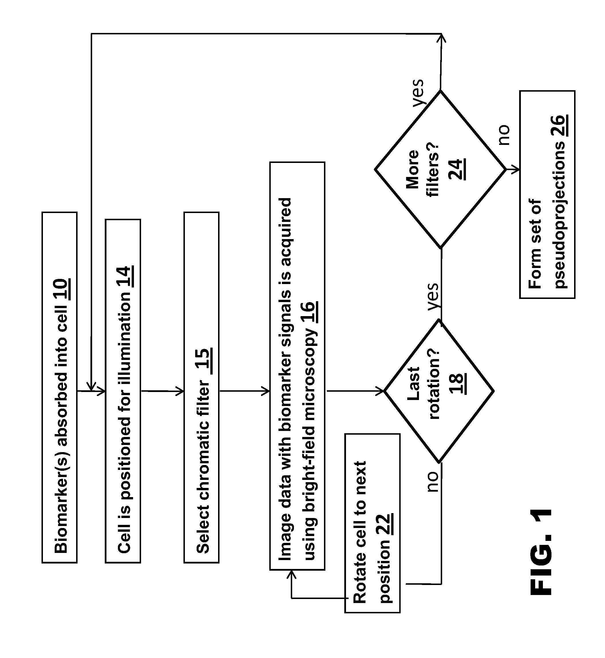 Functional imaging of cells with optical projection tomography