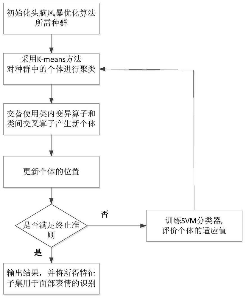 Feature Selection Method for Facial Emotion Recognition Based on Improved Brainstorming Optimization Algorithm