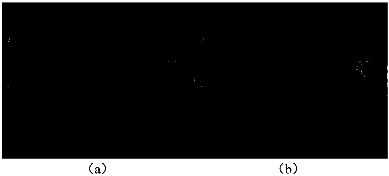 Method for fine segmentation of eye ground optic disc based on SLIC super-pixel segmentation