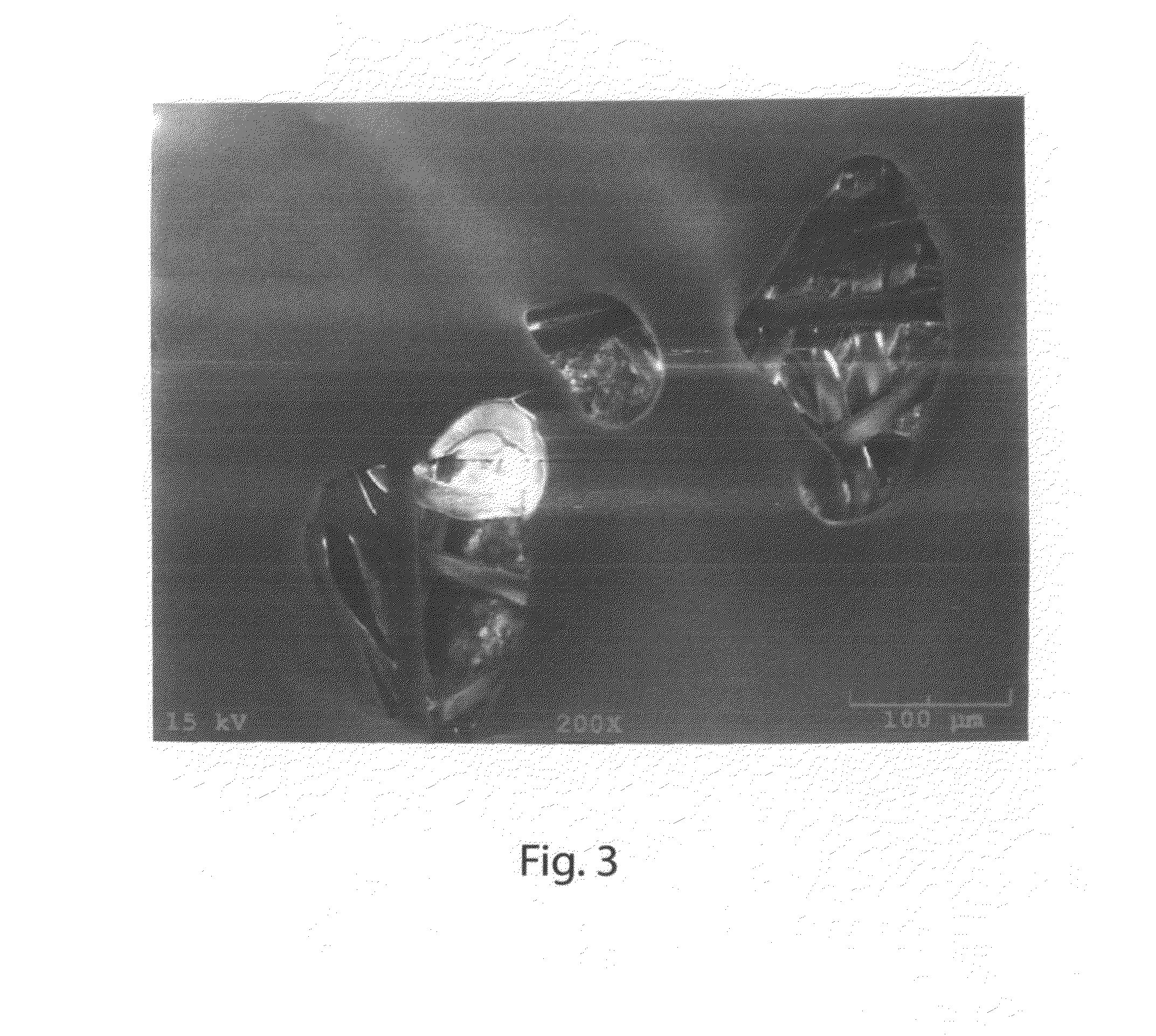 Building membrane with porous pressure sensitive adhesive