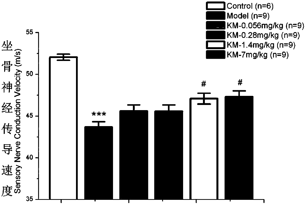 Application of koumine and koumine homolog in preparation of medicines for treating diabetic complications