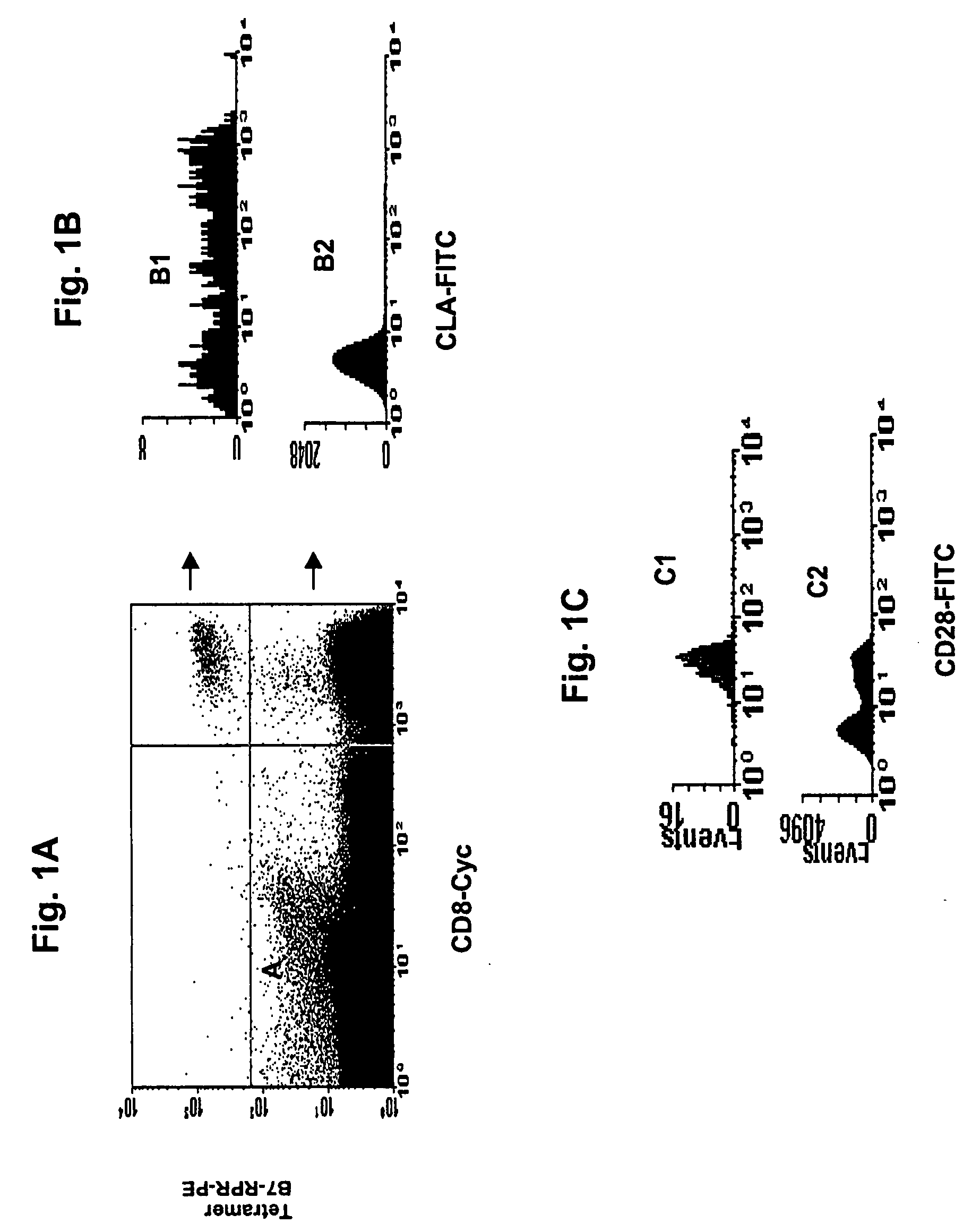 Rapid, efficient purification of HSV-specific T-lymphocytes and HSV antigens identified via same