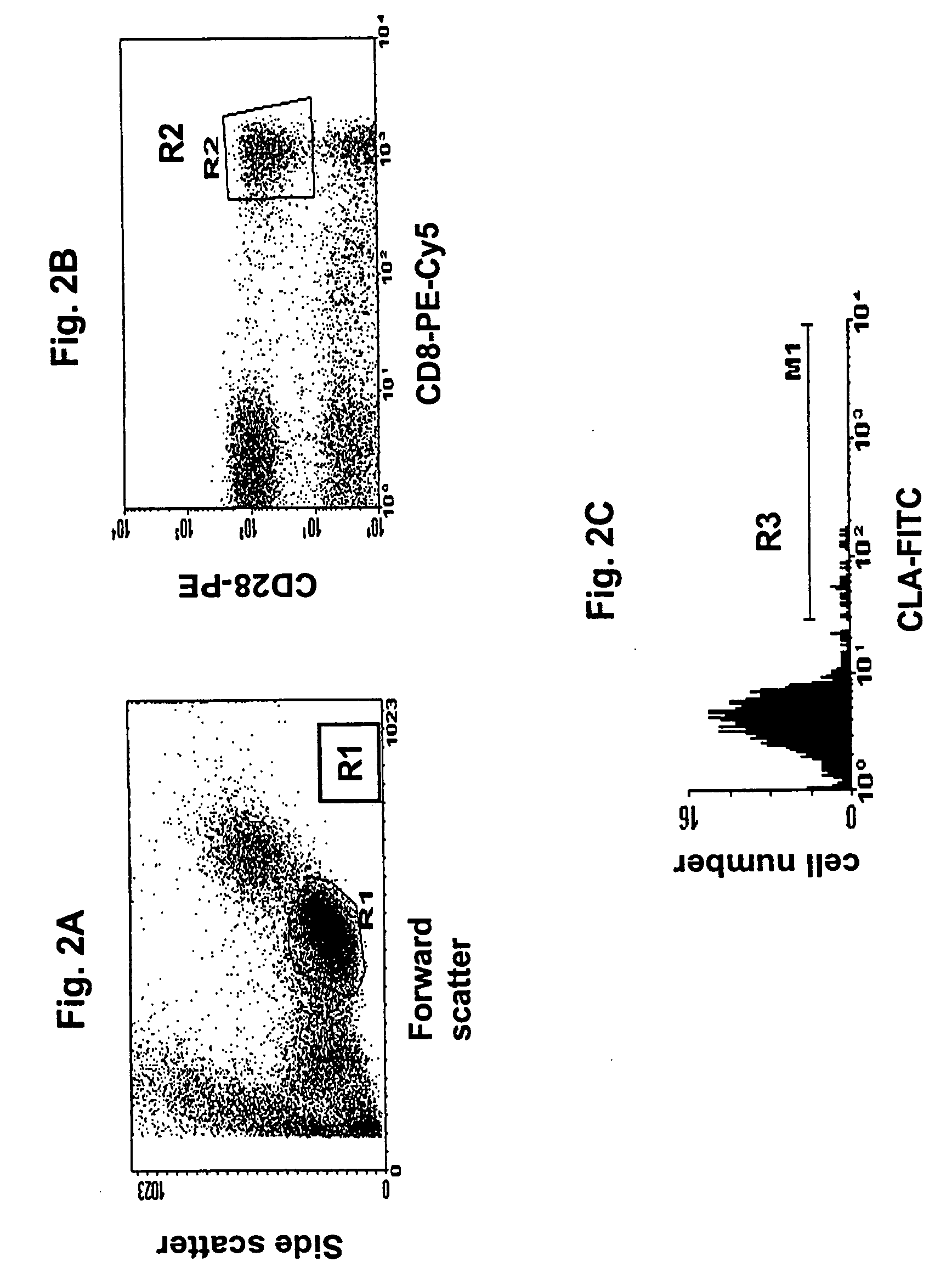 Rapid, efficient purification of HSV-specific T-lymphocytes and HSV antigens identified via same